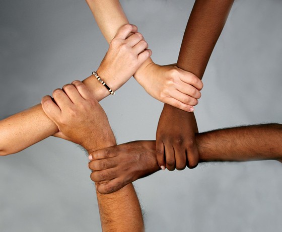 Social, Ethical, and Human Issue: Standard: BCS-CA1-1